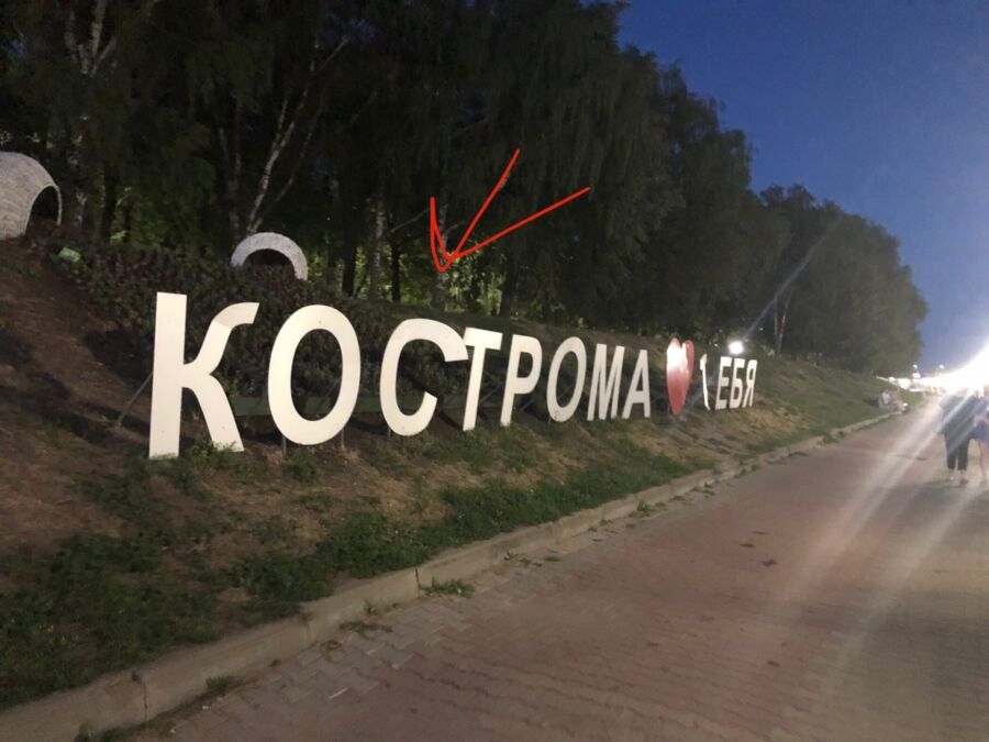 Неизвестные надругались над надписью «Кострома любит тебя»