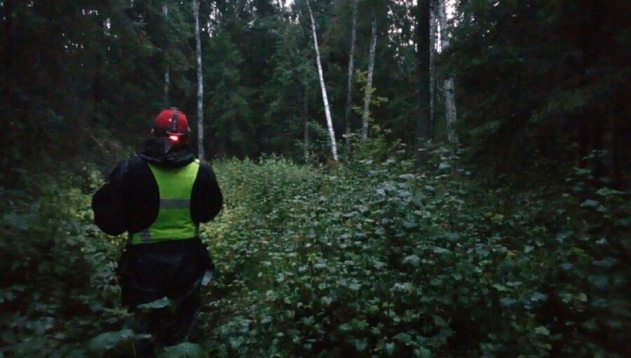 Силуэт в лесу заставил костромичей визжать от радости