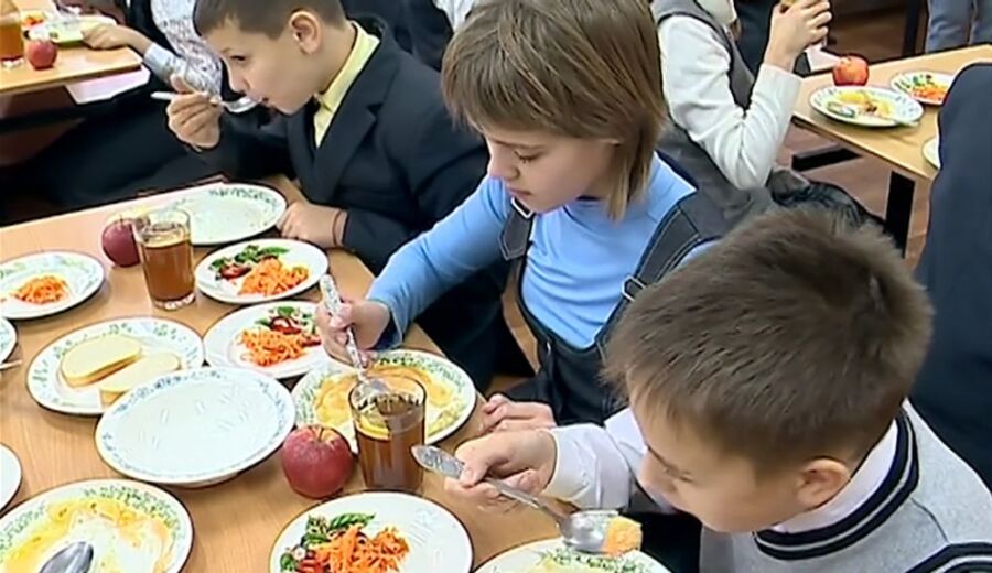 Готовить обеды костромским школьникам теперь будут студенты