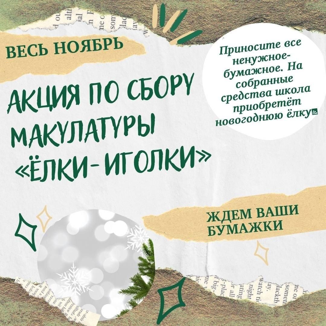 Самая новая школа Костромы поменяет бумажки на новогоднюю елку