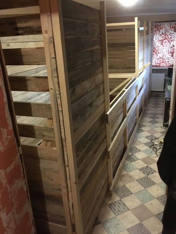 Самый известный енот Костромы показал всем свои шикарные апартаменты