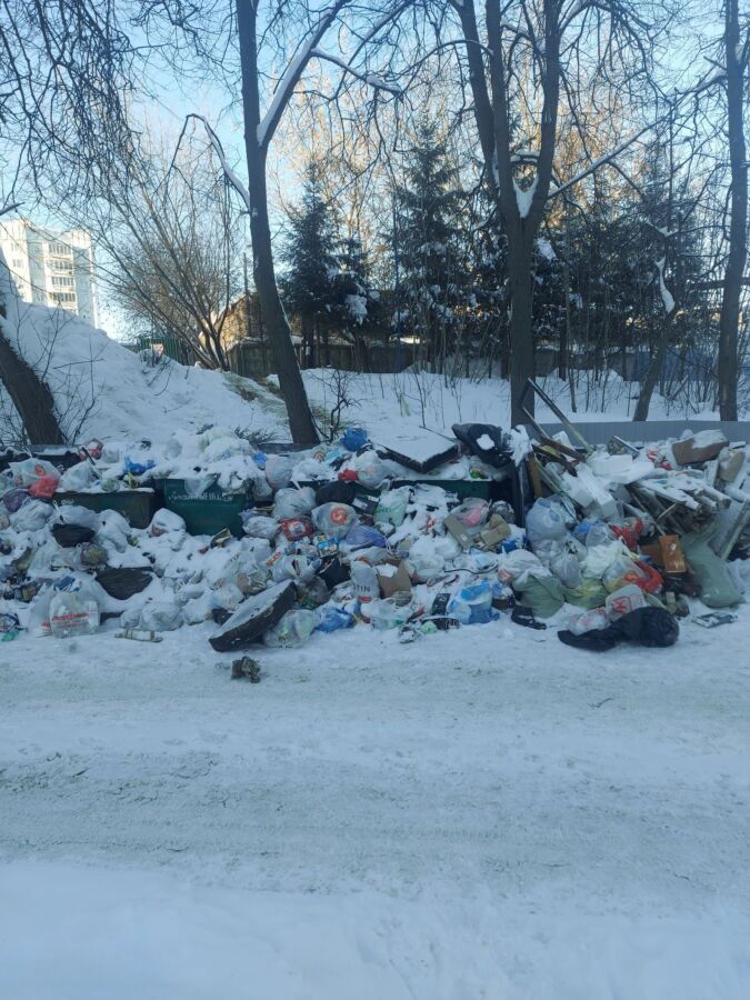 Кострома в мусоре: горожанам назвали причины переполненных помоек
