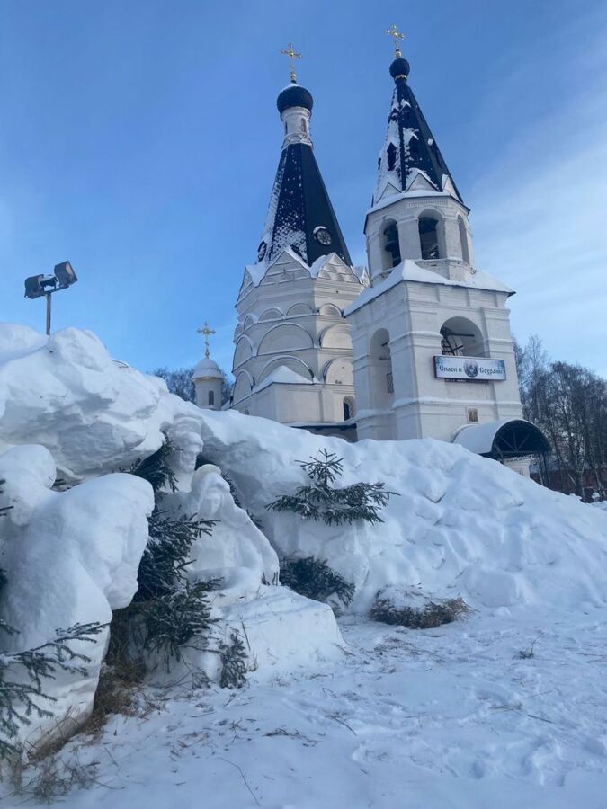 Выставка снежных скульптур все-таки открылась в Костромской области