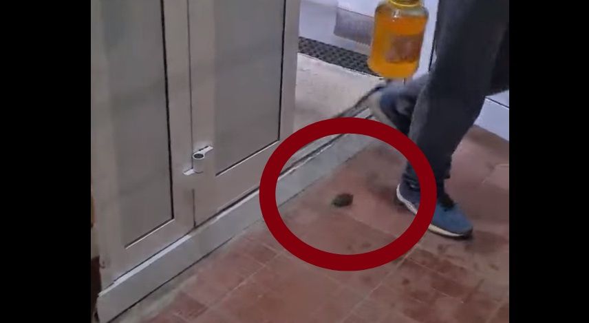 «Самим не хватает!»: костромичи не пускают мышей в магазины