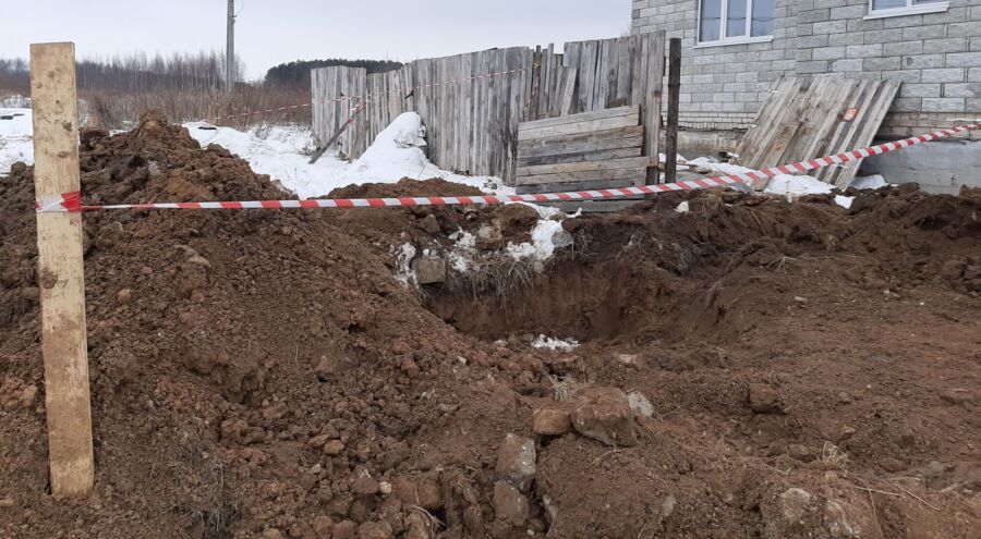 Костромские организации заплатят 300 тысяч рублей за свинство