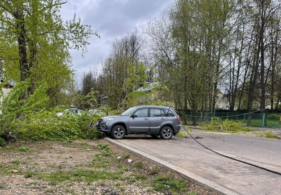 Берегите автомобили: ветер в Костроме роняет на них деревья и столбы