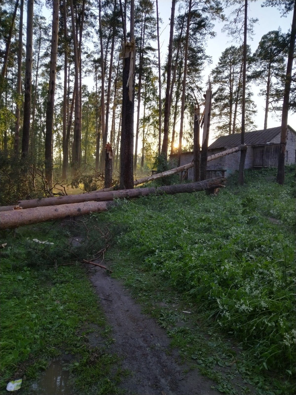 Ураган прошелся по Костромской области: жители остались без крыш