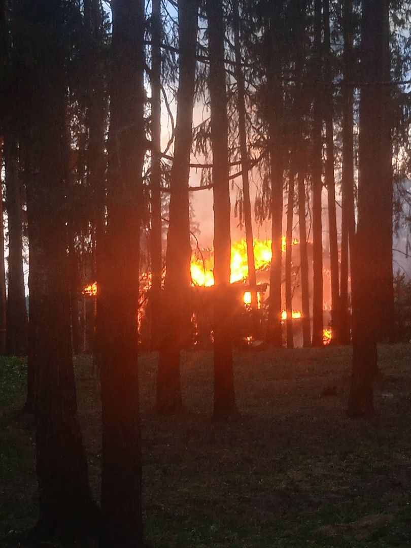 Турбаза на месте известного лагеря “Золотой Колосок” загорелась под Костромой