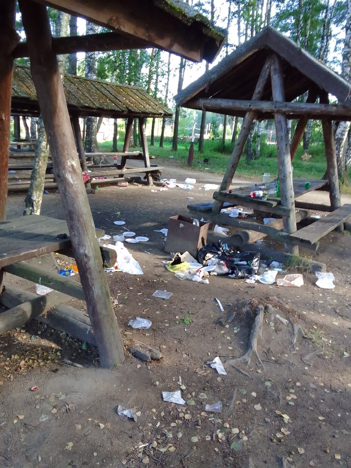 Как Мамай прошел: горожане шокированы видом парка в Костроме