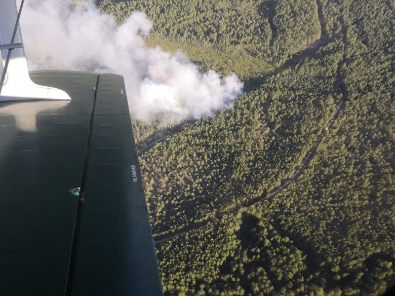 Крупный лесной пожар обнаружили с воздуха в Костромской области