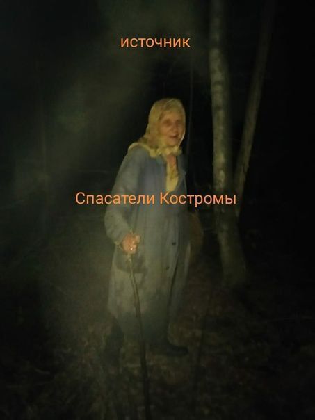 Пропавшую бабушку под Костромой искали с помощью тепловизора