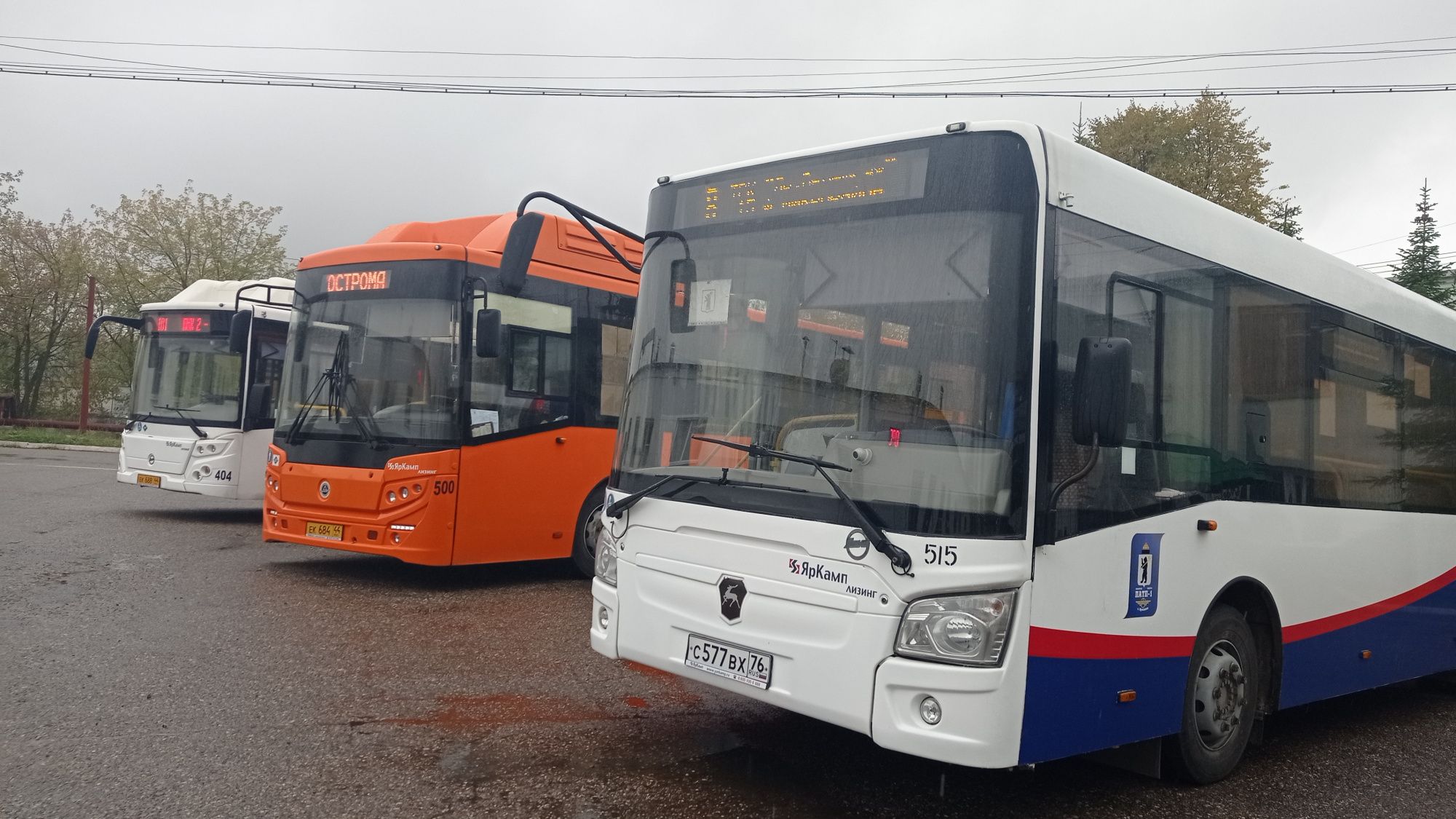 Больше 200 новеньких автобусов заменят адские ПАЗики в Костроме