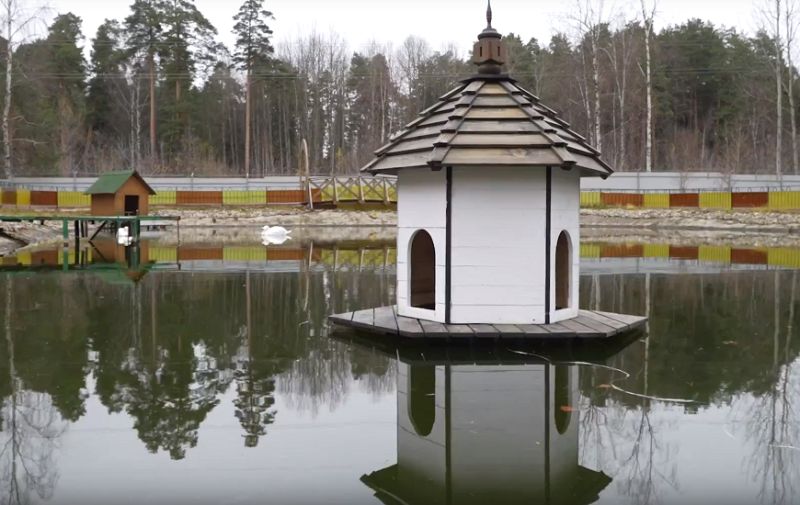Диким уткам в Костроме подарили элитный дом в пруду